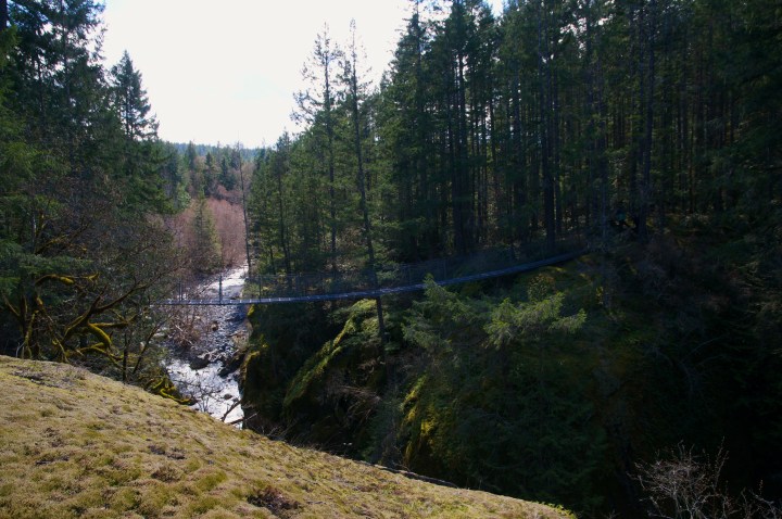 Haslam Creek Suspension&nbsp;Bridge